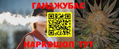 гашик Шахты