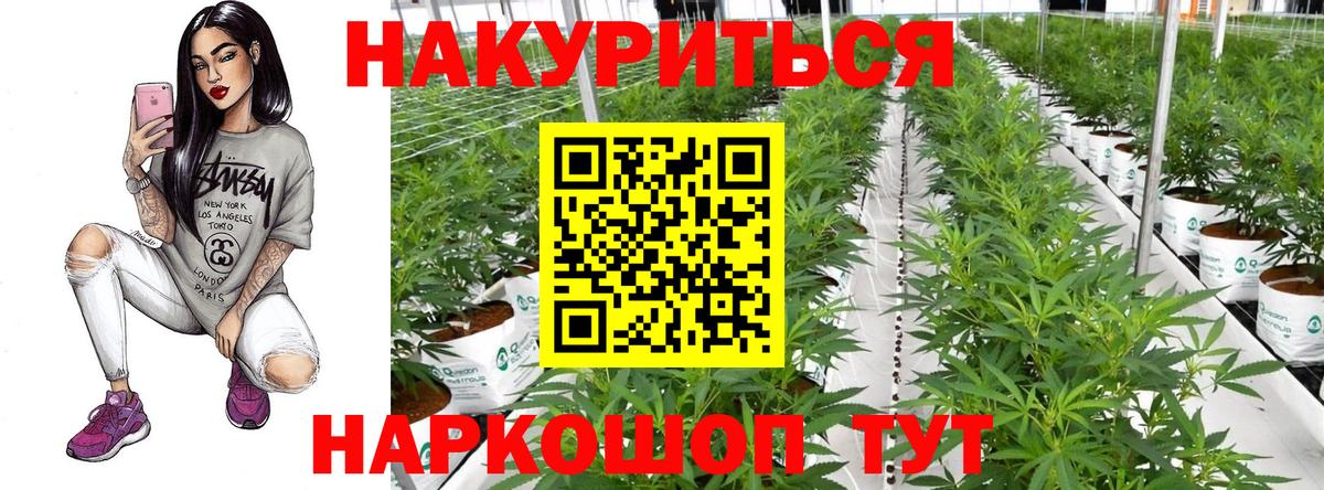 Каннабис LSD WEED  Канабис Amnesia  Пенза  Вход с VPN  МАРИХУАНА конопля  Конопля SATIVA & INDICA 